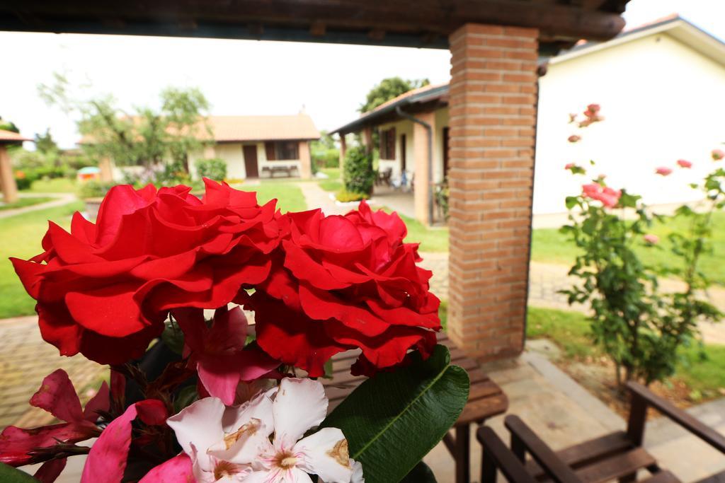 Agriturismo Gli Etruschi Populonia Quarto foto